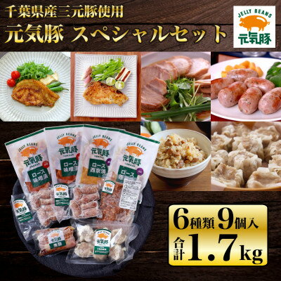 元気豚 スペシャルセット(6種類9パック入) お中元やお歳暮など、贈答品にもおすすめ![配送不可地域:離島・沖縄県]