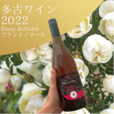 多古ワイン2022・マスカット ベーリーA 【Blanc deNoirs・ブランドノワール】【配送不可地域：離島・沖縄県】【1371715】