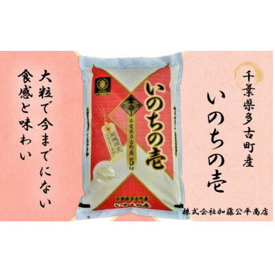 9位! 口コミ数「1件」評価「3」【令和5年産】多古町産いのちの壱 精米5kg【配送不可地域：離島・沖縄県】【1396307】