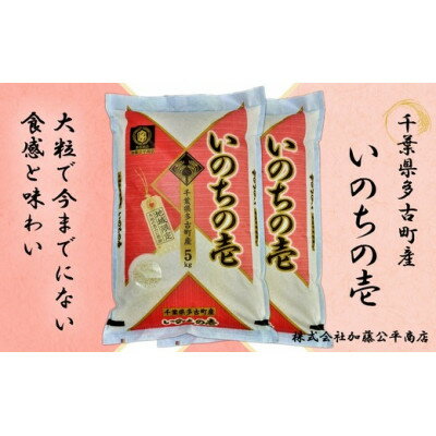 【ふるさと納税】【令和5年産】多古町産いのちの壱 精米10kg(5kg×2袋)【配送不可地域：離島・沖縄県】【1396308】