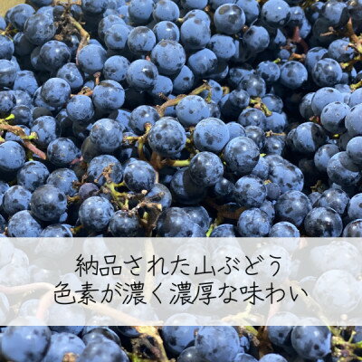 【ふるさと納税】多古ワイン2021・山ぶどう【赤】【日本ワイン】750ml・1本【配送不可地域：離島・沖縄県】【1403633】