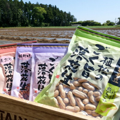 千葉特産　高級品種[千葉半立]植松のごく旨落花生　4種詰め合わせセット【配送不可地域：離島・沖縄県】【1424512】