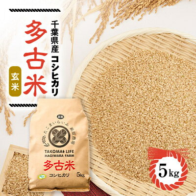 楽天ふるさと納税　【ふるさと納税】【令和5年産】たこまいらいふ萩原農場の多古米コシヒカリ(玄米)5kg　【配送不可地域：離島・沖縄県】【1438049】
