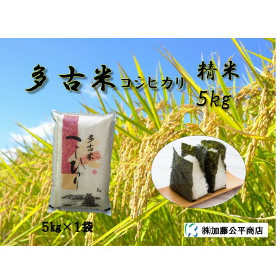 【令和5年産】多古米コシヒカリ 精米5kg【配送不可地域：離島・沖縄県】【1455988】