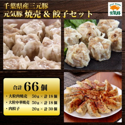 元気豚　焼売&餃子セット(合計66個)