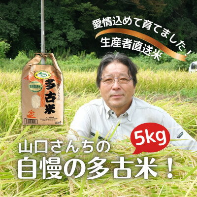 山口さんちの【令和5年産】多古米コシヒカリ(精米)5kg【配送不可地域：離島・沖縄県】【1459857】