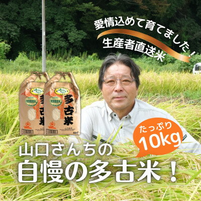 山口さんちの【令和5年産】多古米コシヒカリ(精米)10kg(5kg×2)【配送不可地域：離島・沖縄県】【1459866】