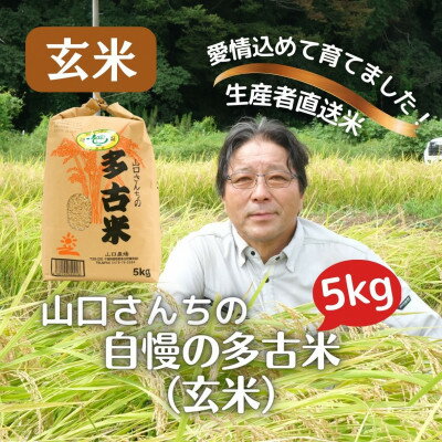 山口さんちの多古米コシヒカリ(玄米)5kg