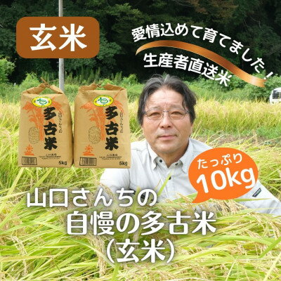 山口さんちの【令和5年産】多古米コシヒカリ(玄米)10kg(5kg×2)【配送不可地域：離島】【1481143】