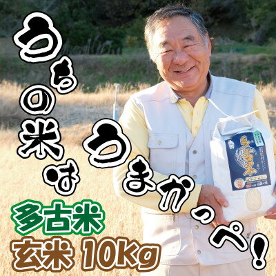 多古米グランプリ常連　佐藤さんのコシヒカリ【玄米10kg(5kg×2)】【配送不可地域：離島】【1483709】