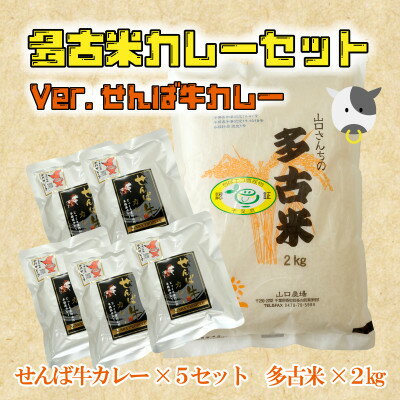 ご飯にはやっぱりカレー!「多古米コシヒカリ2kg」と「せんば牛カレー200g×5」セット【配送不可地域：離島】【1491088】