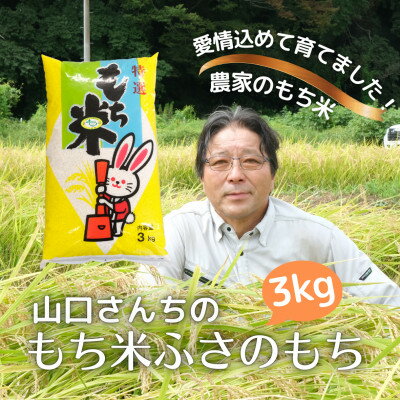 【ふるさと納税】多古米農家 山口さんちのもち米3kg 千葉県奨励品種ふさのもち【配送不可地域：離島】【1584696】のサムネイル