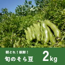 【ふるさと納税】大村農場のそら豆2kg(5月上旬より順次発送)【配送不可地域:離島・沖縄県】【1609285】