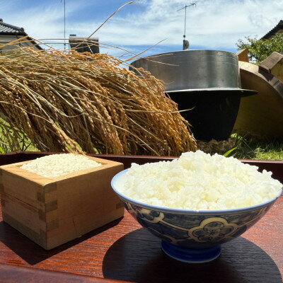 【ふるさと納税】多古米セレクション　大木茂秀さんの多古米コシヒカリ　精米10kg　令和7年産【配送不可地域：離島】【1655264】