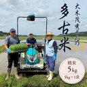 【ふるさと納税】多古米セレクション 大木茂秀さんの多古米コシヒカリ 精米5kg 令和7年産【配送不可地域:離島】【1655382】