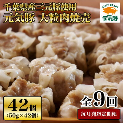 【ふるさと納税】【毎月定期便】元気豚 大粒肉焼売セット 42個セット(計2.1kg)全9回【配送不可地域:離島・沖縄県】【4055283】