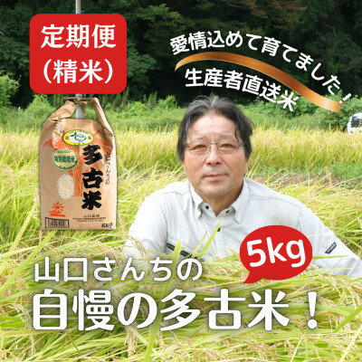 [毎月定期便]山口さんちの多古米コシヒカリ(精米)5kg全6回[配送不可地域:離島]