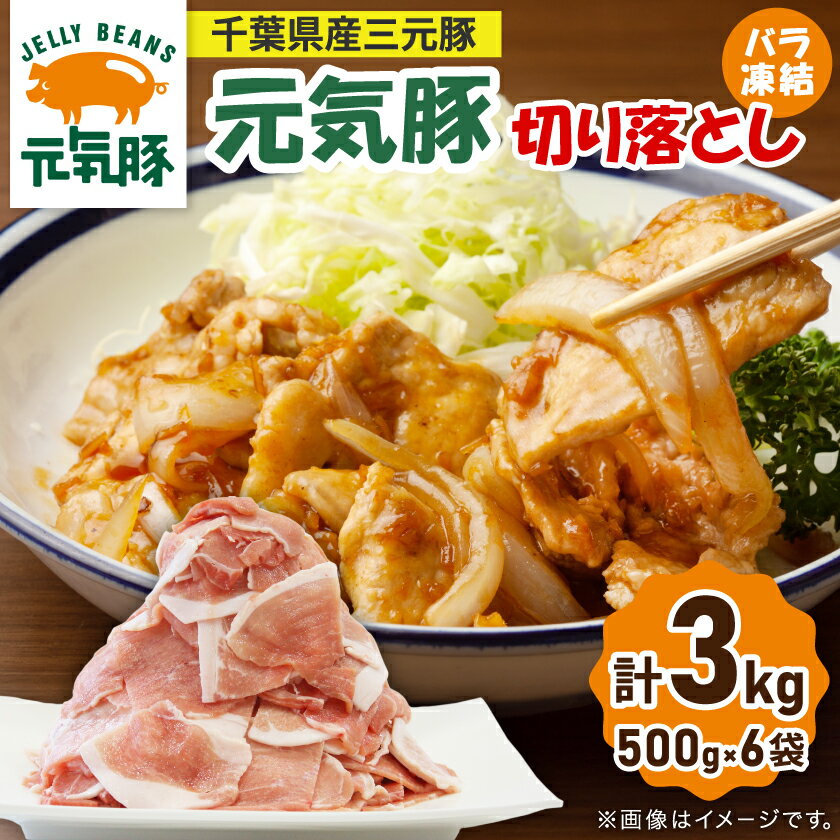 [小分けで便利]国産 元気豚 切り落とし 3kg(500g×6袋) 千葉県産三元豚 パラパラ凍結[配送不可地域:離島・北海道・沖縄県]