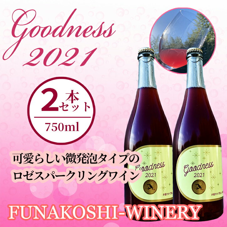 【ふるさと納税】【多古ワイン】Goodness20212本【千葉県多古町】