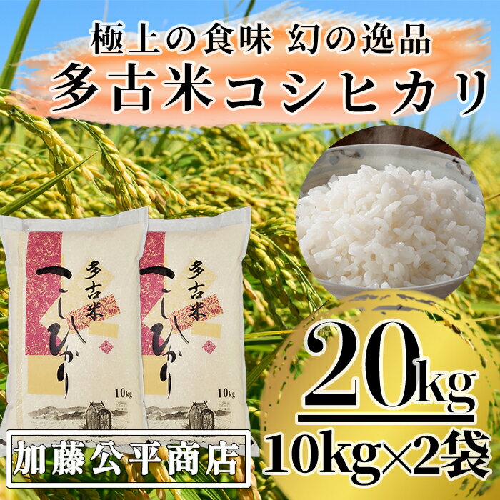 【ふるさと納税】多古米こしひかり 精米20kg ふるさと納税 米 コシヒカリ【 千葉県 多古町 】