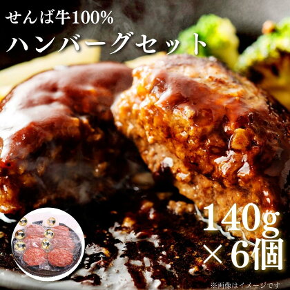 せんば牛100%ハンバーグセット 140g×6 計840g