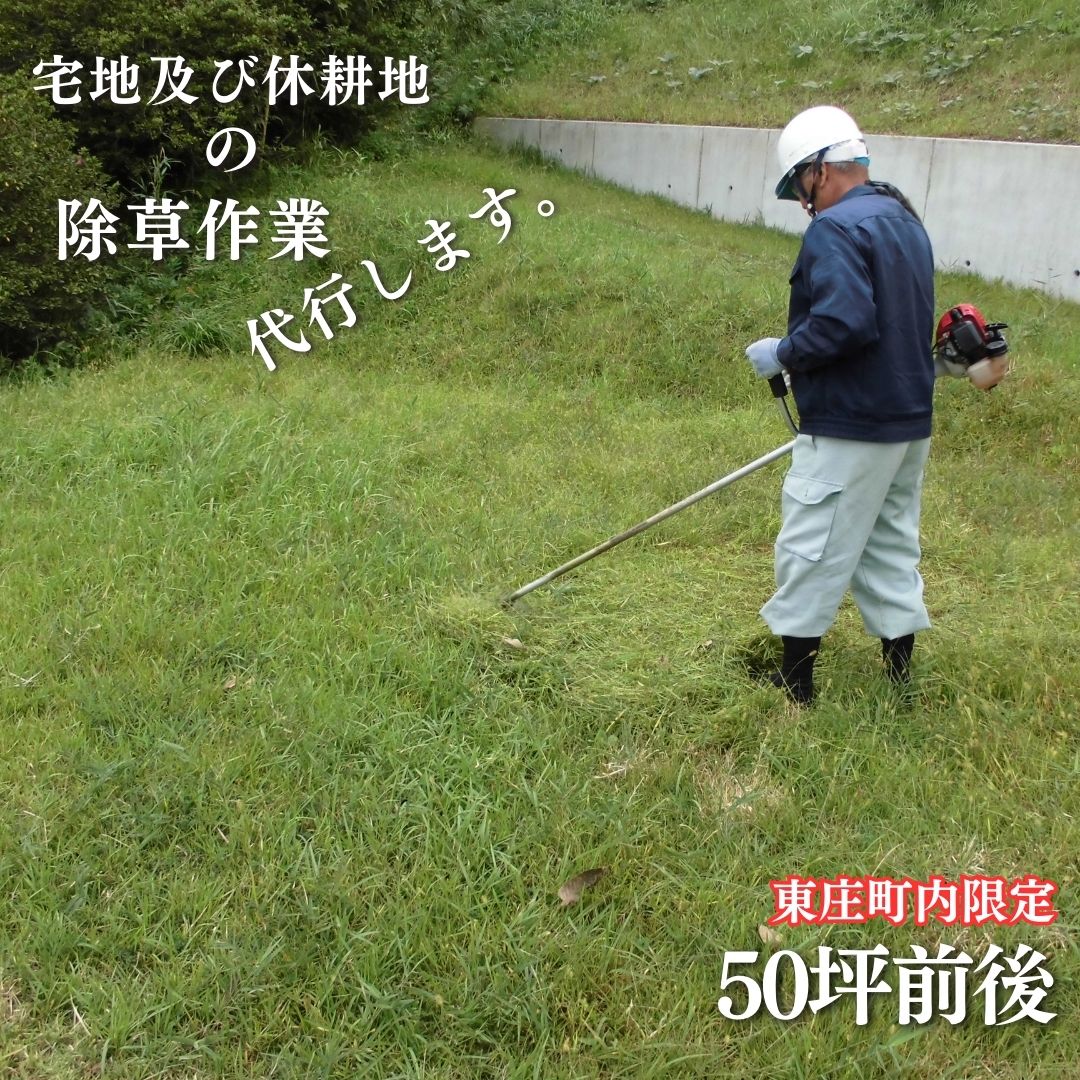 宅地及び休耕地の除草作業を代行します/50坪前後