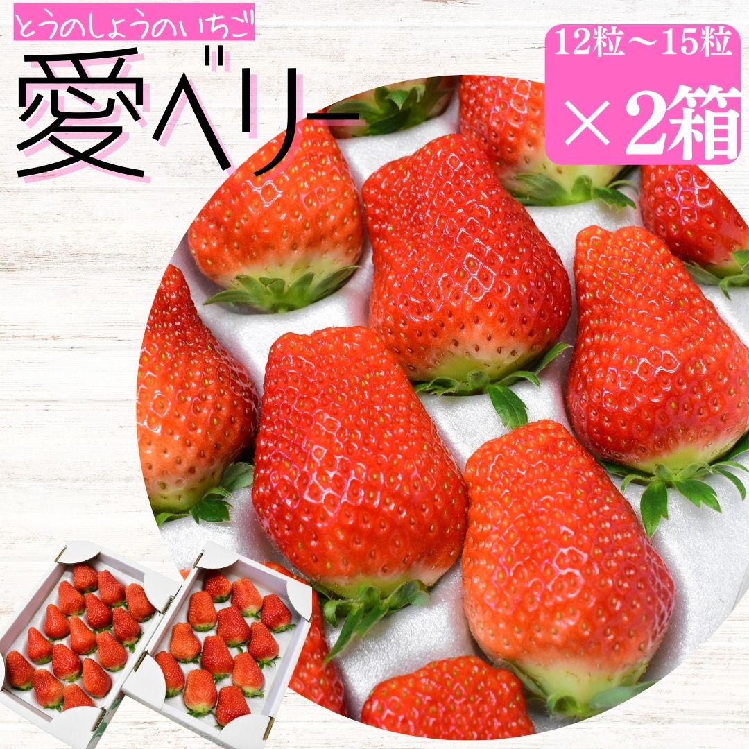 【ふるさと納税】【2025年先行予約】いちご 「アイベリー（愛ベリー）」大粒12粒～15粒入り 2箱 甘い いちご 苺 イチゴ 果物 フルーツ 2025 先行予約 先行 予約 千葉県 東庄町のサムネイル