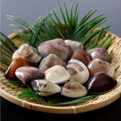 貝類 ふるさと納税の返礼品一覧 人気順 22年 ふるさと納税ガイド