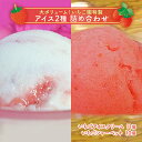 【ふるさと納税】浜いちごのアイスクリーム・シャーベットたっぷ