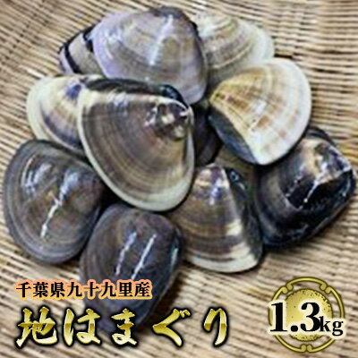 【ふるさと納税】九十九里地 はまぐり 1.3kg 蛤 魚貝類