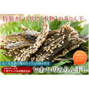 【ふるさと納税】干物 みりん干し セット いわし アジ ひもの 魚 乾物 イワシ あじ 海鮮 魚介 魚介類 　【 ひもの 魚 乾物 イワシ あじ 海鮮 魚介 魚介類 】