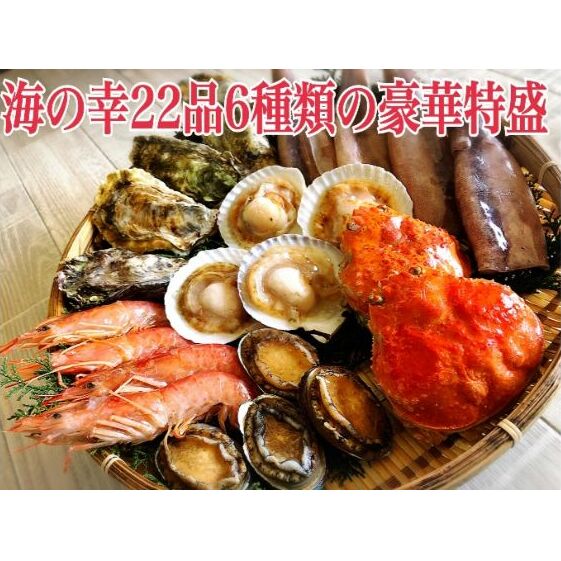 【ふるさと納税】豪華特盛海の幸BBQセット 6種22品 2.5kg 海鮮セット BBQ 海の幸 セット 大人気　　【ずわい蟹・ずわいガニ・ズワイガニ・蟹・カニ・魚介類・貝】