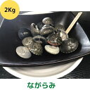 【ふるさと納税】食べたら止まらないやつ九十九里浜の“ながらみ“2kg入り　【 海鮮 魚介類 魚貝類 貝 ながらみ 九十九里 酒の肴 おつまみ 】 1