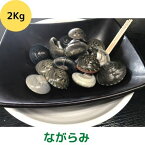 【ふるさと納税】食べたら止まらないやつ九十九里浜の“ながらみ“2kg入り　【 海鮮 魚介類 魚貝類 貝 ながらみ 九十九里 酒の肴 おつまみ 】