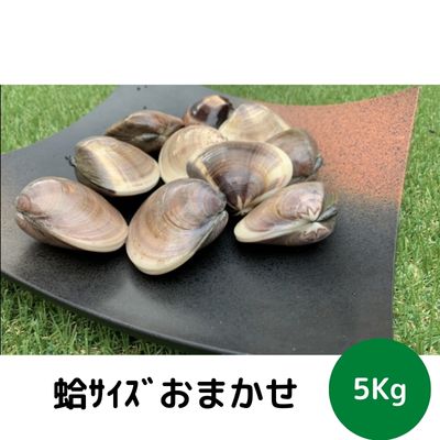 ڤդ뤵ǼǡϸդŷȺɤʸ᥵Ǥå5kgꡡ     Ϥޤ Ⱥ äפ 5kg 