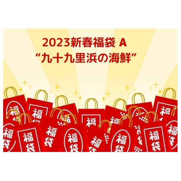 【ふるさと納税】2023新春福袋A　九十九里浜の海鮮　【 福袋 お楽しみ 新春 海鮮 魚貝類 魚介類 鮮魚 海鮮 海の幸 九十九里産 はまぐり しらる 牡蠣 伊勢海老 鮑 しらす 】　お届け：2023年1月10日～2023年1月31日のサムネイル