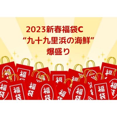 【ふるさと納税】2023新春福袋C　九十九里浜の海鮮　爆盛り　【 福袋 お楽しみ 新春 海鮮 魚貝類 魚介類 鮮魚 海鮮 海の幸 九十九里産 はまぐり しらる 牡蠣 伊勢海老 鮑 しらす 】　お届け：2023年1月10日～2023年1月31日