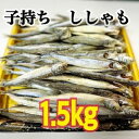 3位! 口コミ数「0件」評価「0」子持ち ししゃも　1.5kg 魚貝類 大型サイズ ボリューム 小分け パック バラ凍結 丸かじり カルシウム 便利 卵 　【 魚貝類 大型サ･･･ 