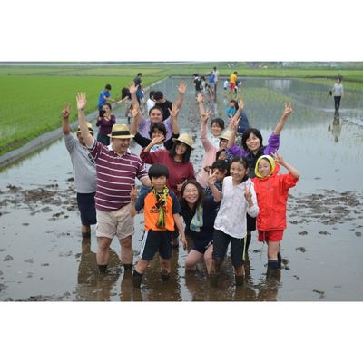 【ふるさと納税】田植え体験・単回型コース　【 体験チケット 農業体験 農作業 学び 子供 大人 米5kg 】のサムネイル