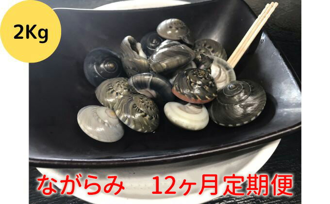 【ふるさと納税】＃定期便12か月毎月届く　食べたら止まらないやつ九十九里浜の“ながらみ“2kg入り 貝類 ダンベイキサゴ 甘み 旨み あと引く美味さ 塩茹で 酒の肴 つまみ 酒のあて