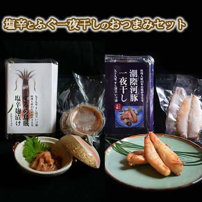 スルメイカ塩辛とふぐ一夜干しのおつまみセット　【 魚貝類 加工食品 おつまみ 肴 お酒のあて お酒のお供 一品料理 いかの塩辛 ふぐの一夜干し 濃厚 ご飯のお供 おかず ふんわり 旨味 】