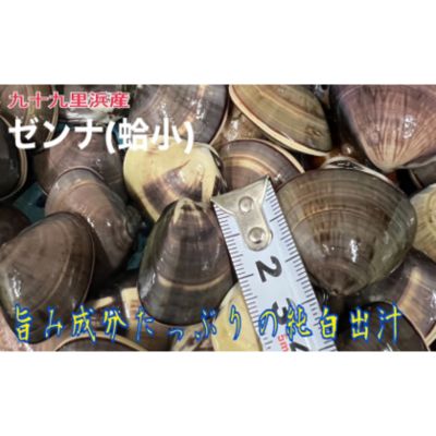 【ふるさと納税】うま味が濃い純白出汁の天然”ゼンナ”冷凍（蛤小）2kg入り　【 魚貝類 旨み 濃厚な出汁 天然はまぐり 身が厚い 甘み 貝 海の幸 海鮮 国産 九十九里浜産 】