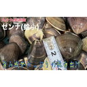 19位! 口コミ数「0件」評価「0」うま味が濃い純白出汁の天然”ゼンナ”冷凍（蛤小）2kg入り　【 魚貝類 旨み 濃厚な出汁 天然はまぐり 身が厚い 甘み 貝 海の幸 海鮮 国･･･ 