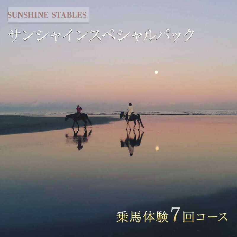 【ふるさと納税】[SUNSHINE STABLES]サンシャインスペシャルパック　体験チケット