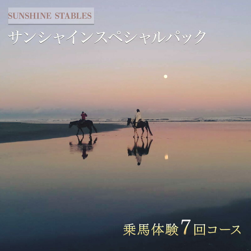 【ふるさと納税】[SUNSHINE STABLES]サンシャインスペシャルパック　【体験チケット】 1