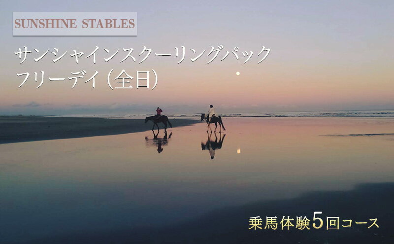 【ふるさと納税】乗馬 千葉 SUNSHINE STABLES フリーデイ（全日） 体験 チケット サンシャインスクーリングパック 馬 アクティビティ アウトドア スポーツ ギフト券 券 体験チケット 旅行 千葉県 九十九里 九十九里町 2