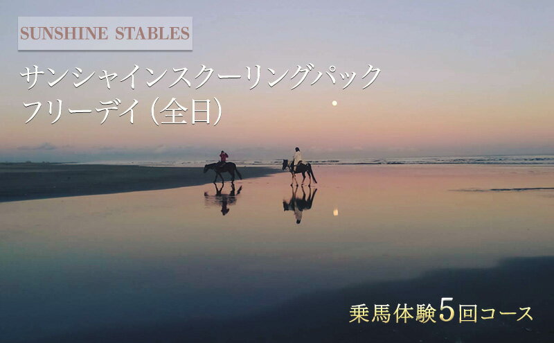 【ふるさと納税】[SUNSHINE STABLES]サンシャインスクーリングパック　フリーデイ（全日）　【体験チケット】 2