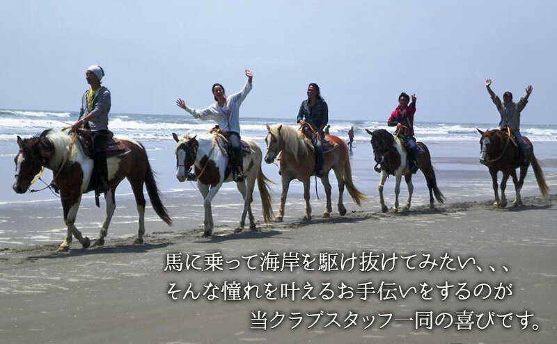 【ふるさと納税】乗馬 千葉 SUNSHINE STABLES フリーデイ（全日） 体験 チケット サンシャインスクーリングパック 馬 アクティビティ アウトドア スポーツ ギフト券 券 体験チケット 旅行 千葉県 九十九里 九十九里町 3