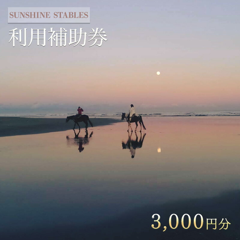 [SUNSHINE STABLES]利用補助券(3,000円分) [体験チケット・チケット]