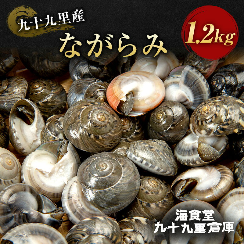 【ふるさと納税】ながらみ　1.2キロ 魚介類 貝類 貝 海の幸 海鮮 幻の貝 冷凍 おつまみ 国産 名産物 九十九里 千葉県